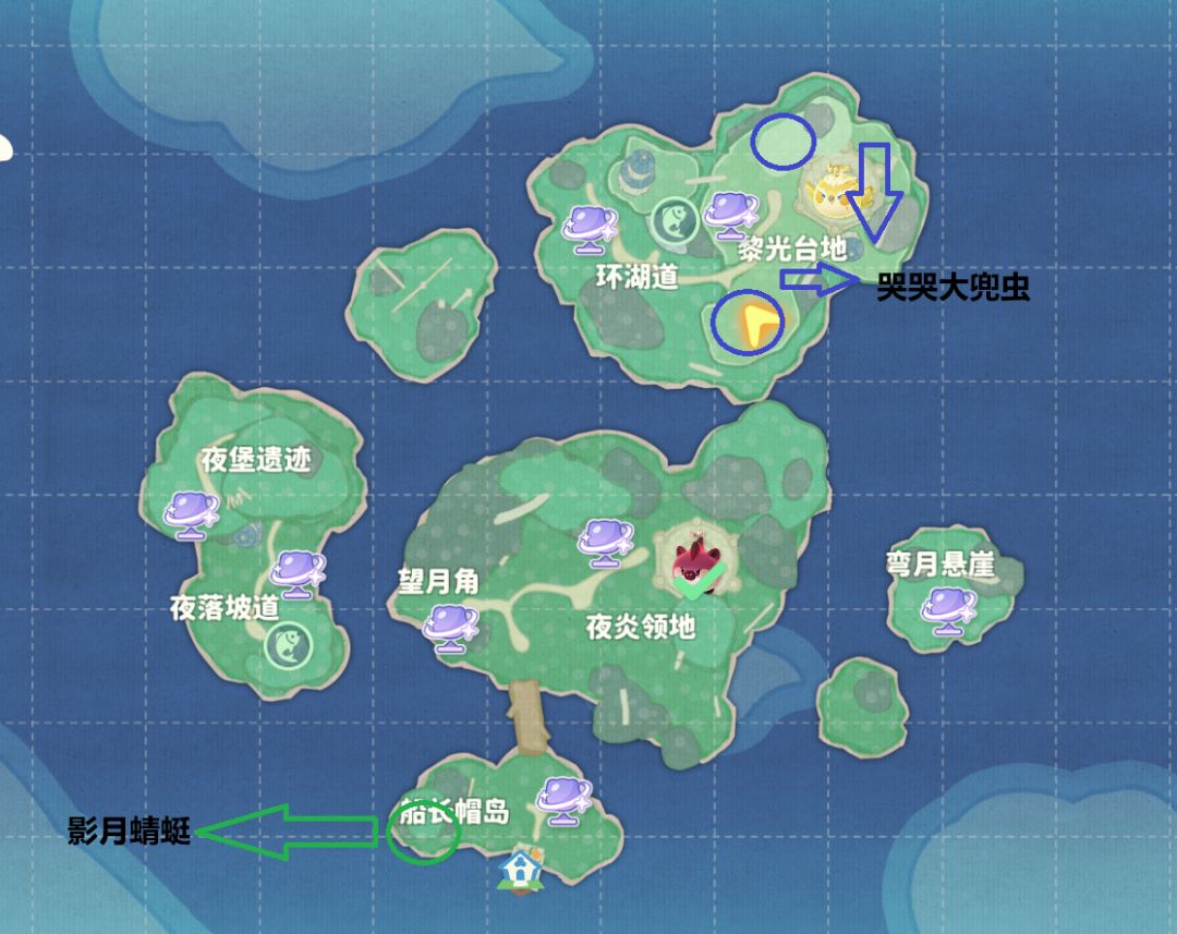 小月蜂,落叶凤蝶,哭哭大兜虫,影月蜻蜓 3