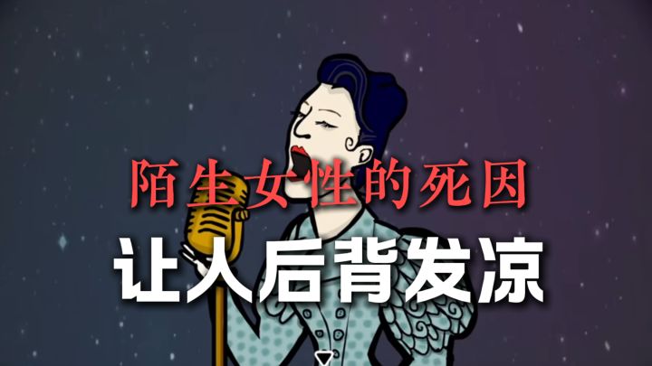 一个陌生女人之死，让人流冷汗的解谜游戏..截图
