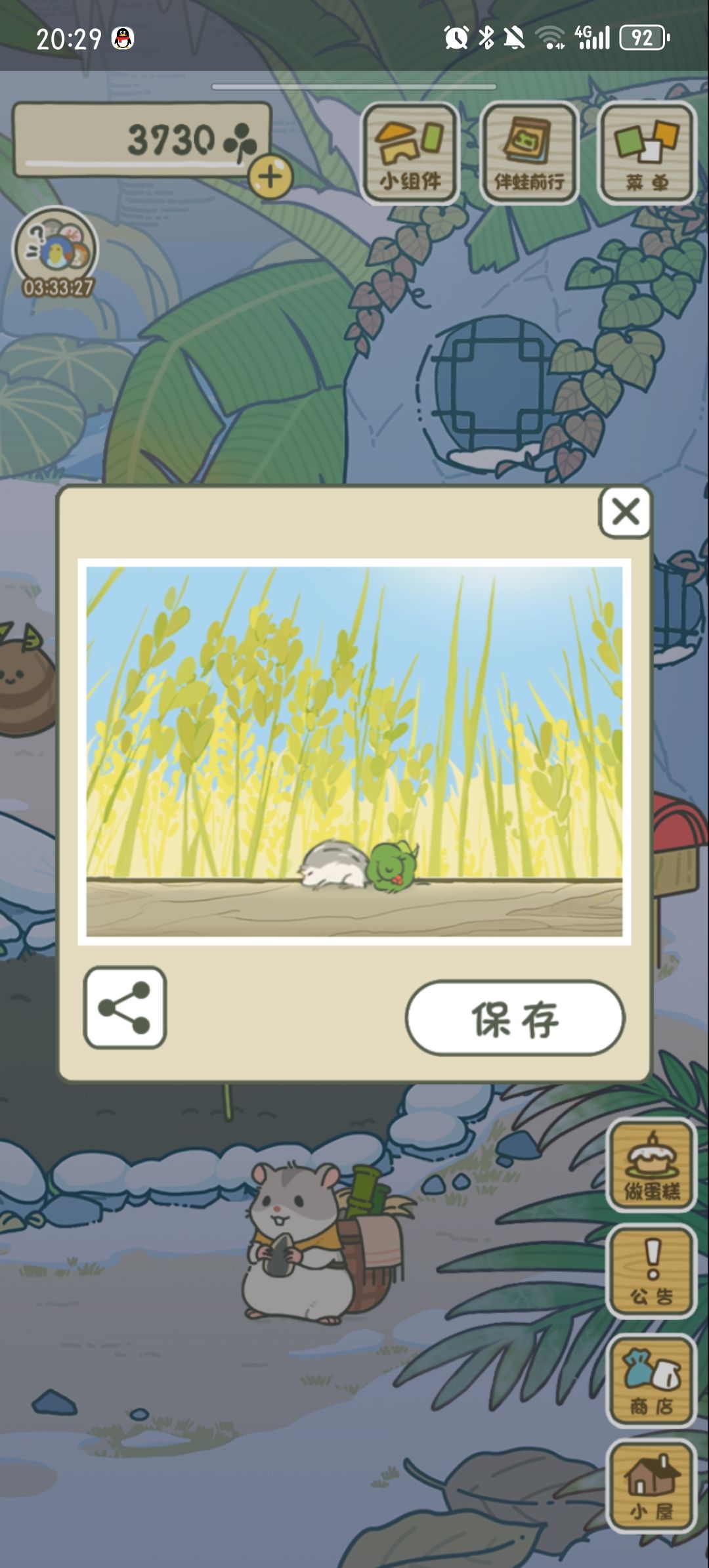 大安崽做了窗户就出门了 3