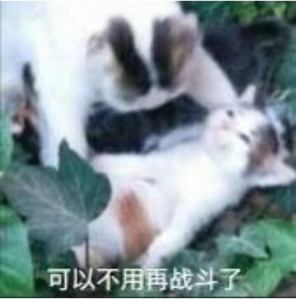 退游了把加百分比最多的生命星痕当材料融了 4