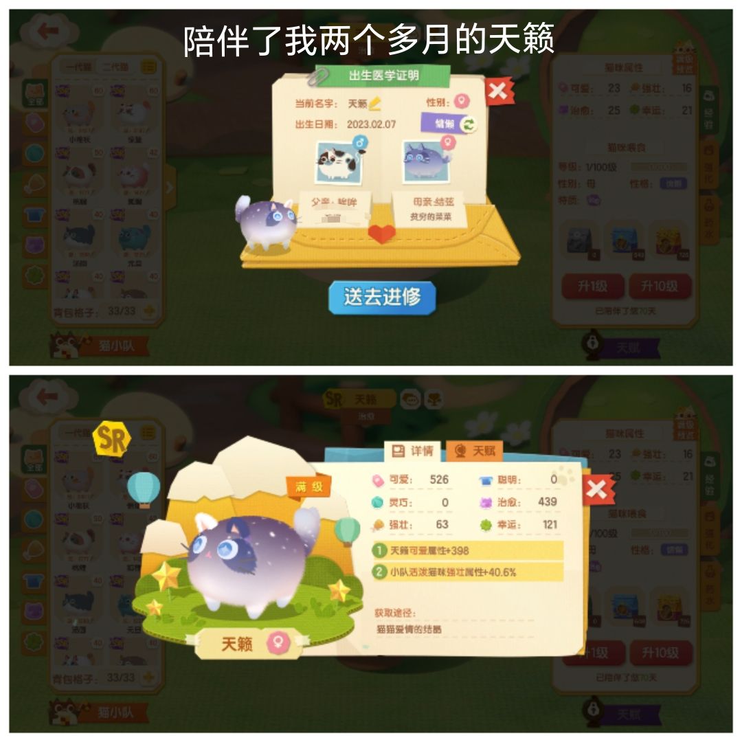 近日战况 1