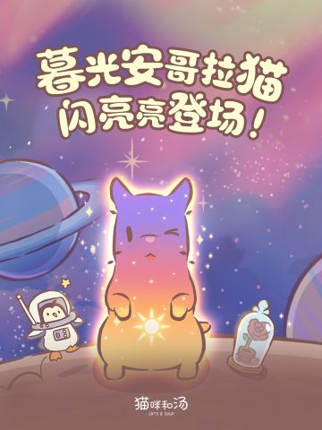 新猫咪 | 星光与晚霞！暮光安哥拉猫登场