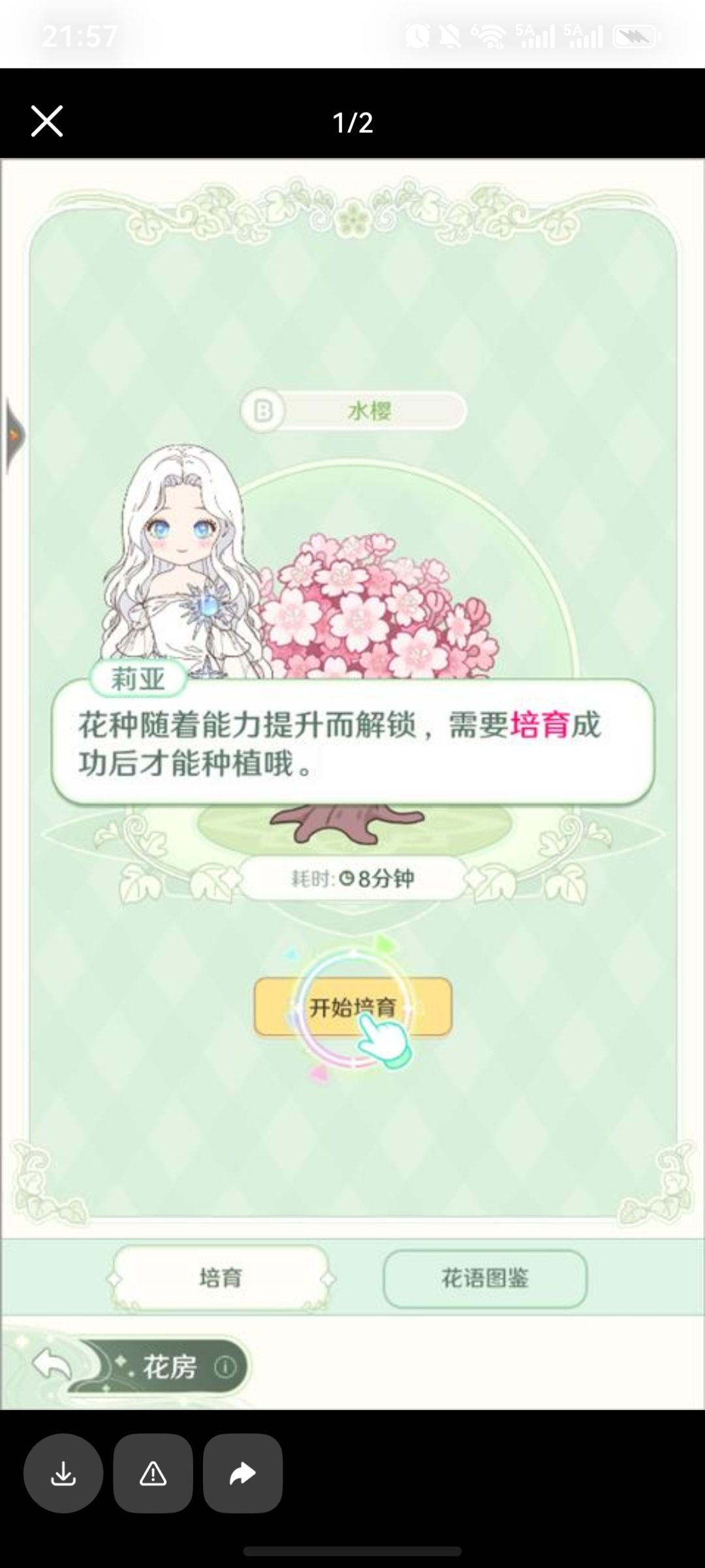 培育新花 3