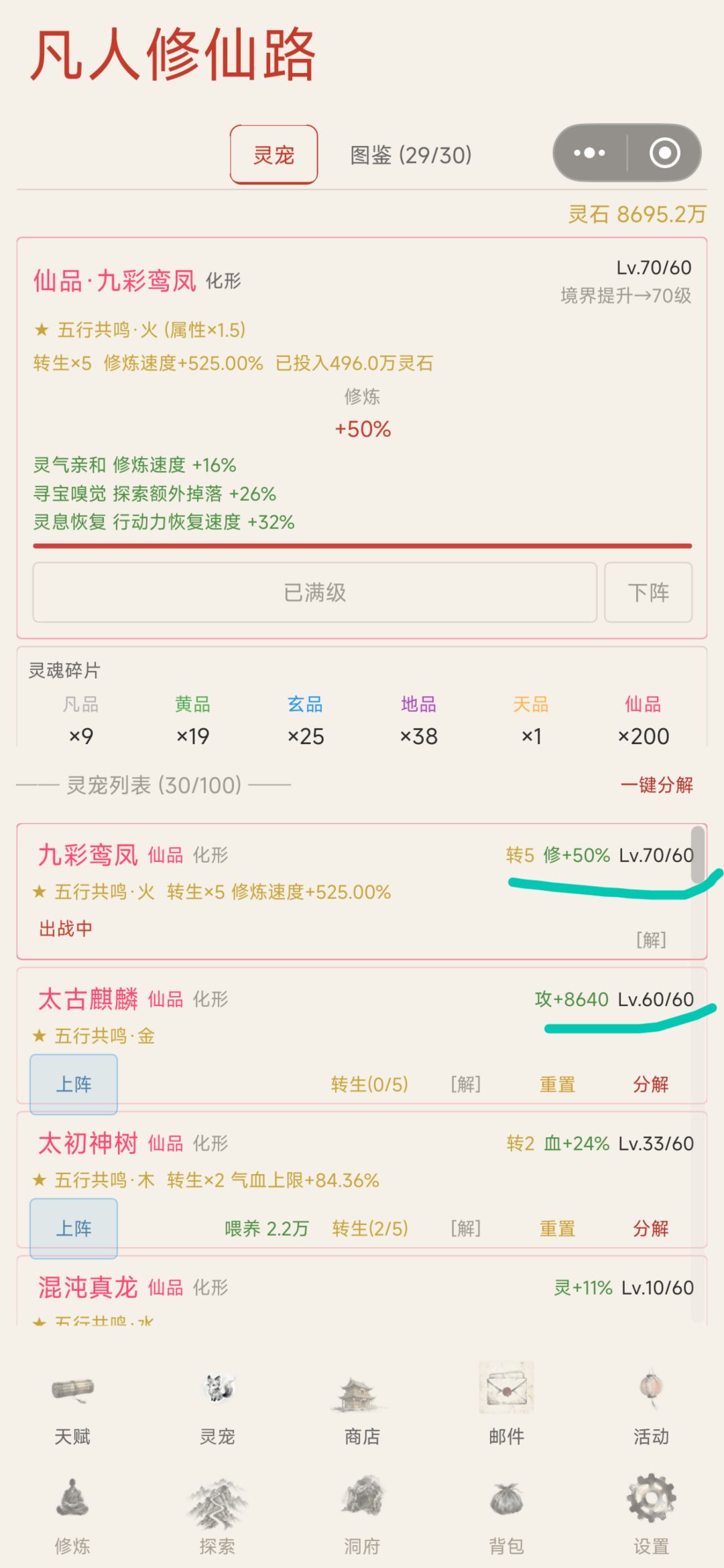 反馈一下宠物等级还有问题 1