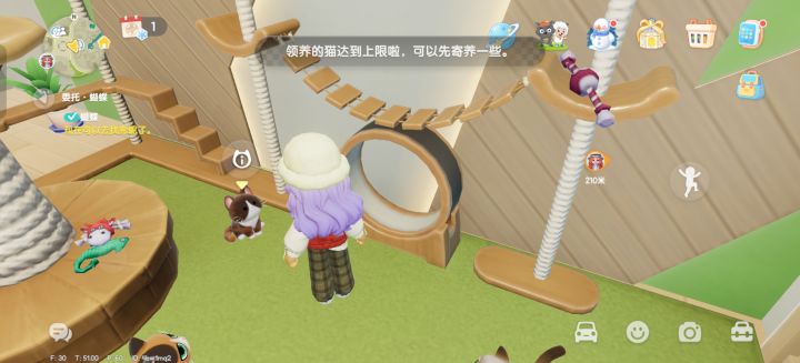 关于宠物截图