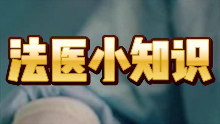 《少年包青天》法医小知识！如何利用尸斑判断死亡时间？截图
