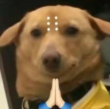 武器芯片和防具芯片见解