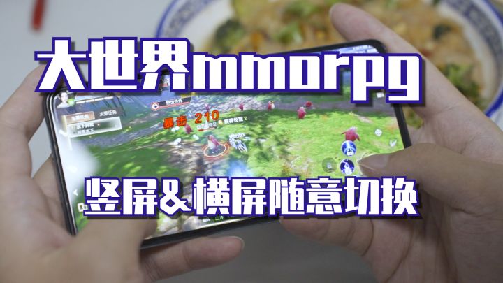 横&竖自由切换的MMORPG手游，大世界还没玩够？截图