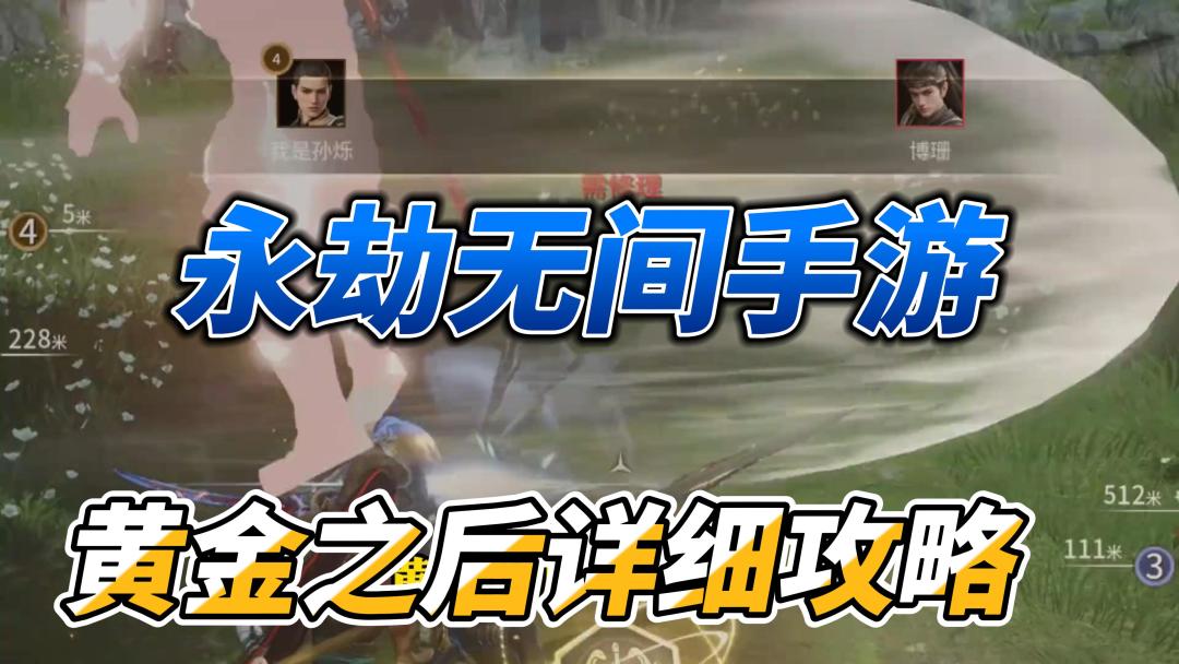 video-4312245