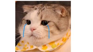 【因果试炼竞速】5T魔队阵容分享