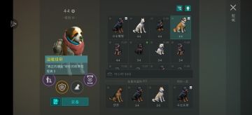 小毕业圣伯纳出来了