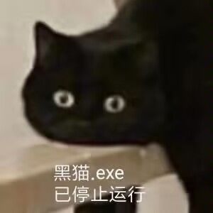 真扣啊 1