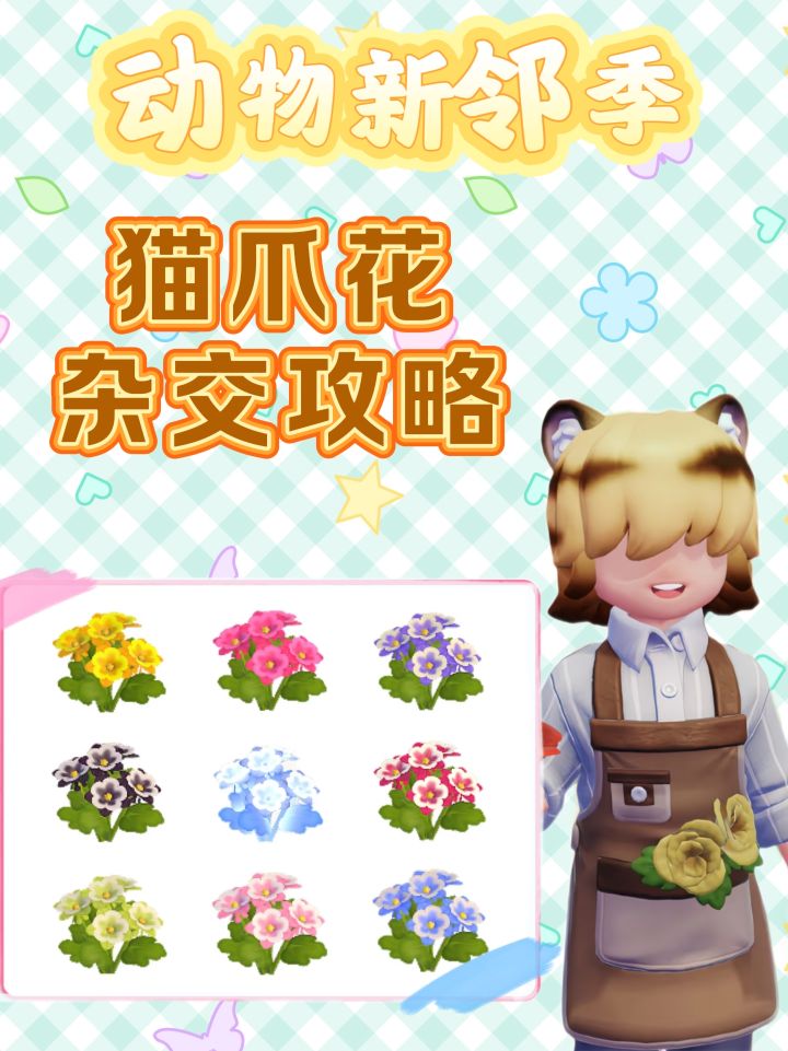 猫爪花杂交攻略来啦截图
