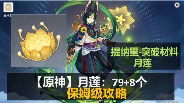 【原神】 提纳里 突破材料-月莲：79+8个 保姆级收集攻略
