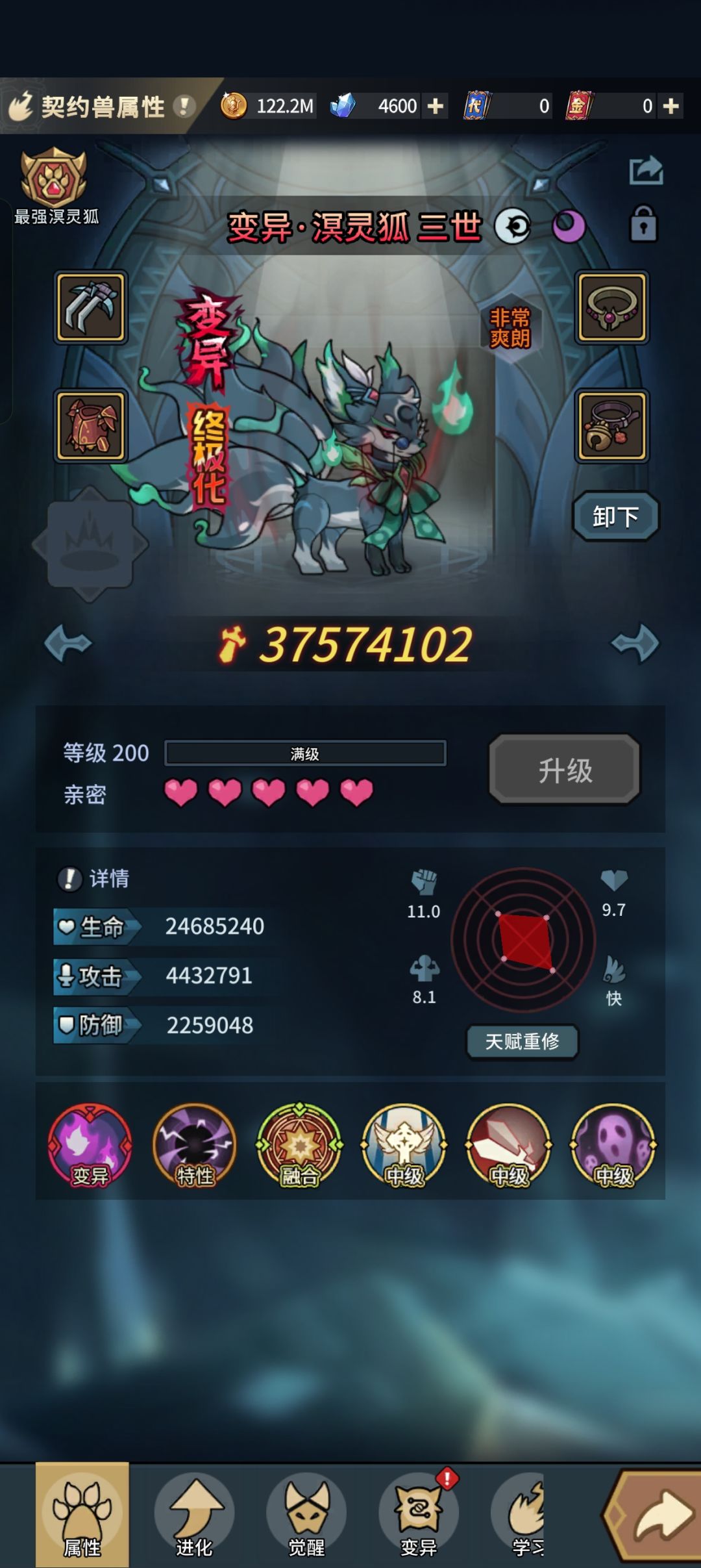 龙海宠物选择 3