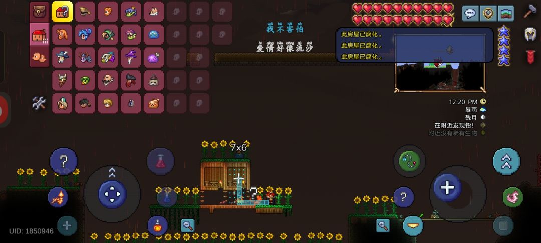 动态图片 2