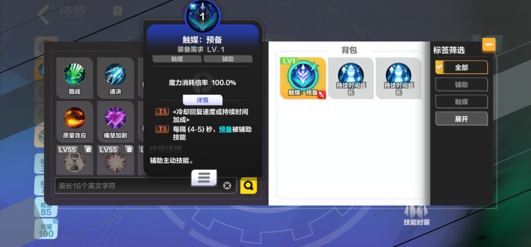 装备辅助技能安不上 2