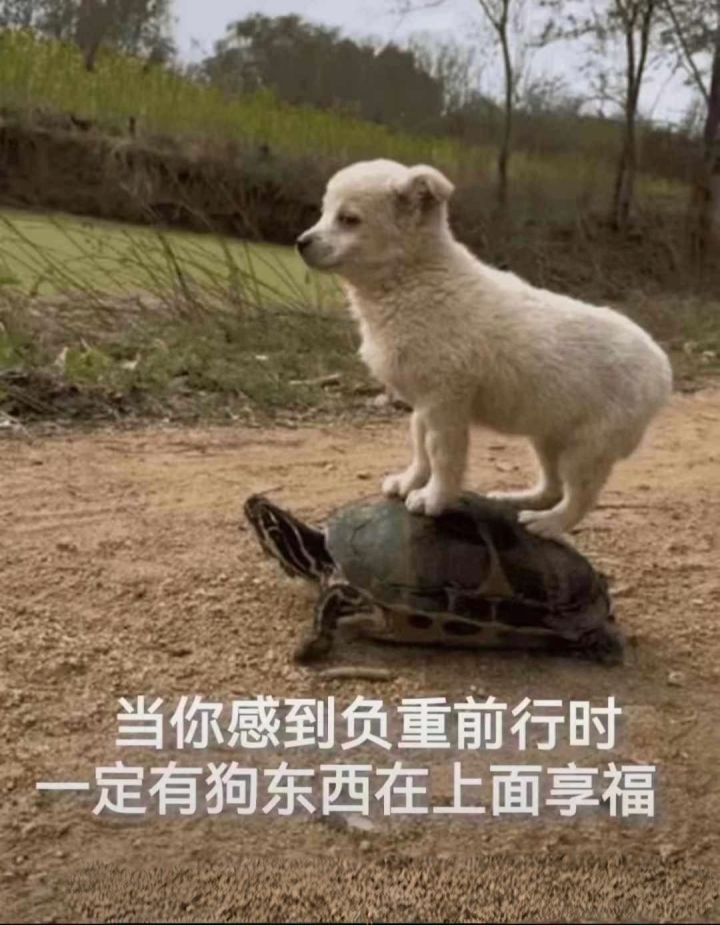 这个游戏的t怎么拉怪呢截图