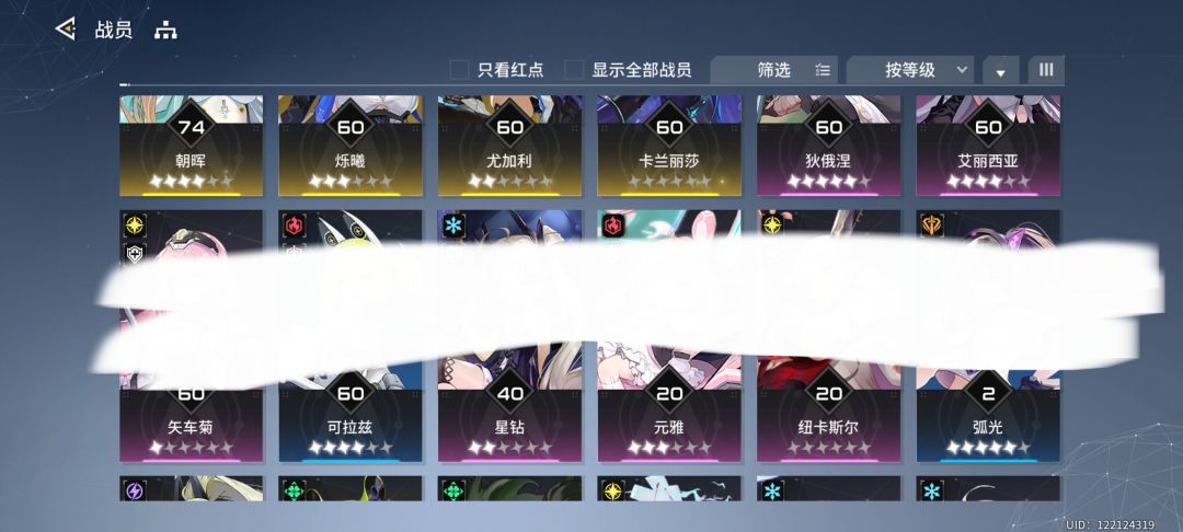 大佬们该怎么配队呢 1