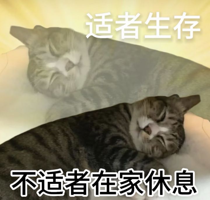 难以喘息?截图