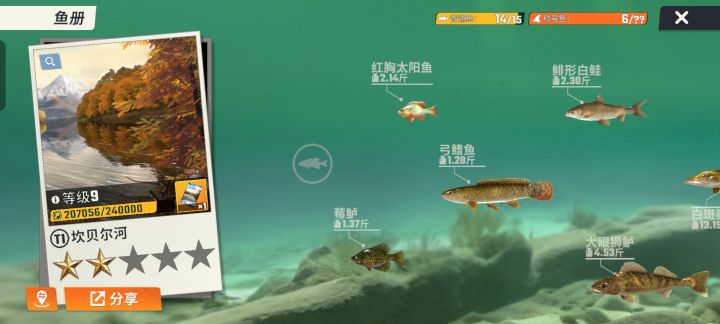 不是,哥们,这普通鱼比典藏还难钓啊?一千多体力加小型鱼好运buff也没钓上来,你在逗我?截图