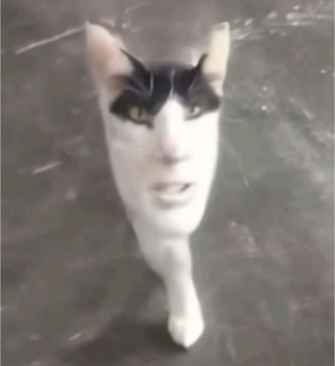 加好友plz~ 1