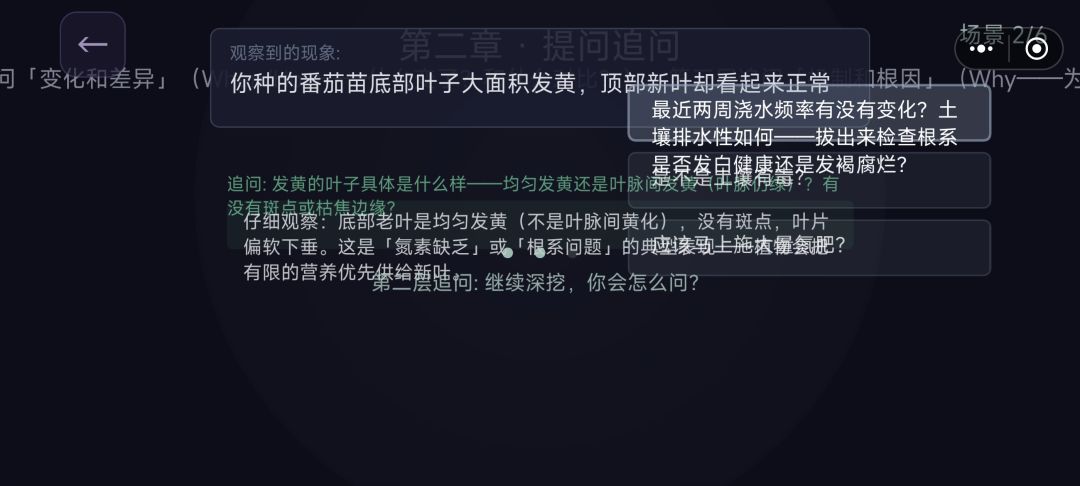 动态图片 4