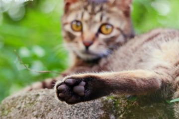 截止5月31日所有兑换码