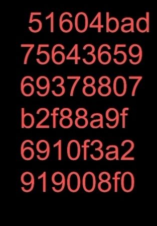 2.15大杯码截图