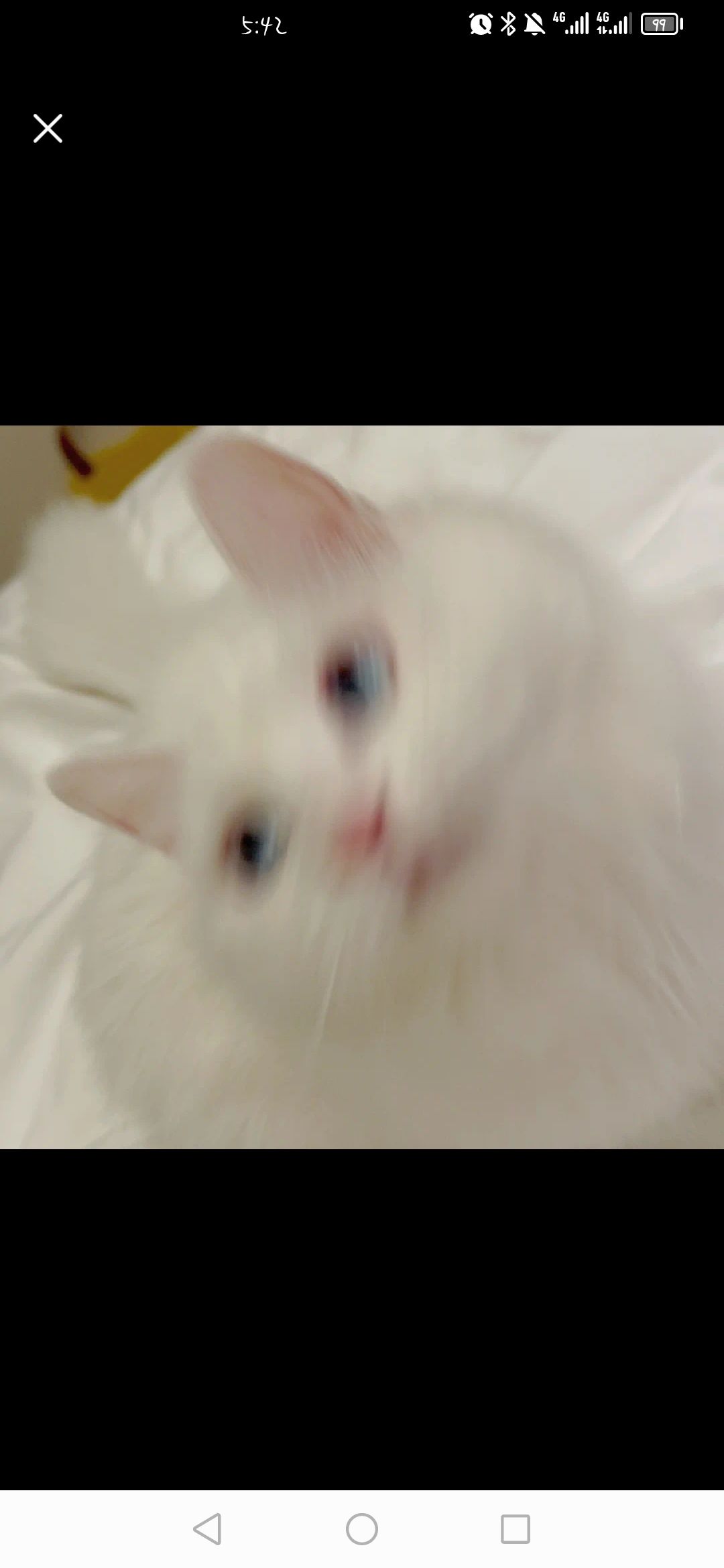 以闪亮之名 1