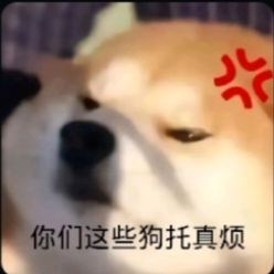 贫民攻略（无）