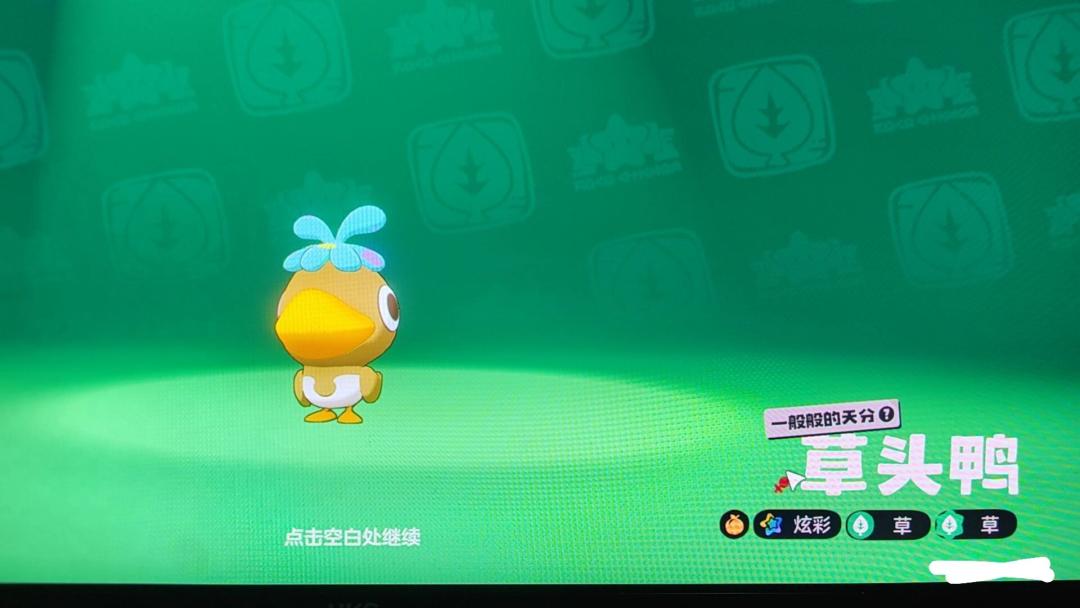 这可可果节是真丰收了 2
