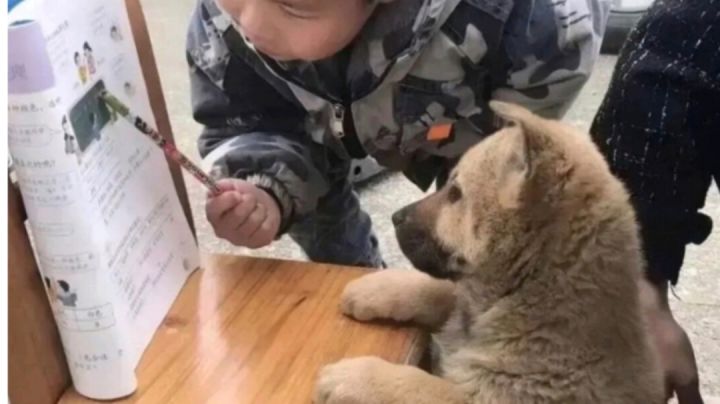 自律后排偷懒截图