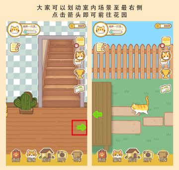 11月19日更新公告