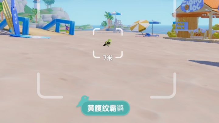 黄腹纹霸鹟&赤颈鸭的寻找位置截图
