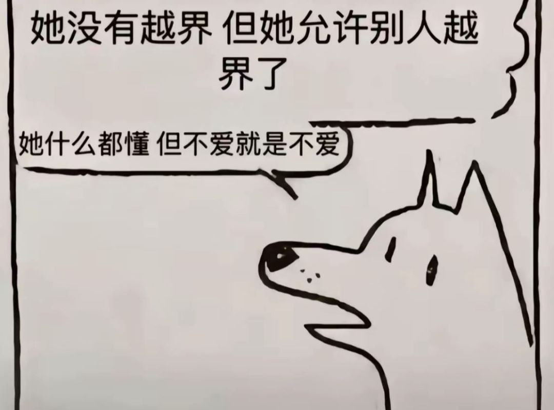 动态图片 5