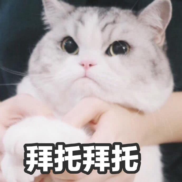 游戏荒了,大佬们有没有推荐的游戏截图