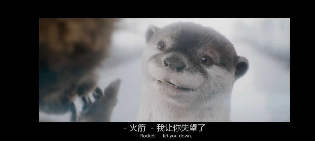 这次宠物抽奖系统感觉有猫腻啊! 1