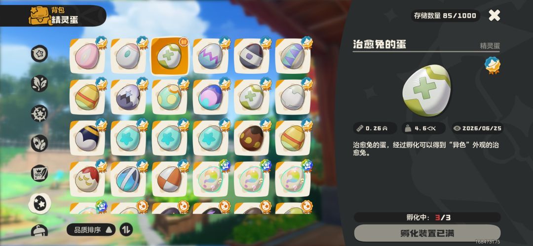 铁树开花了 1