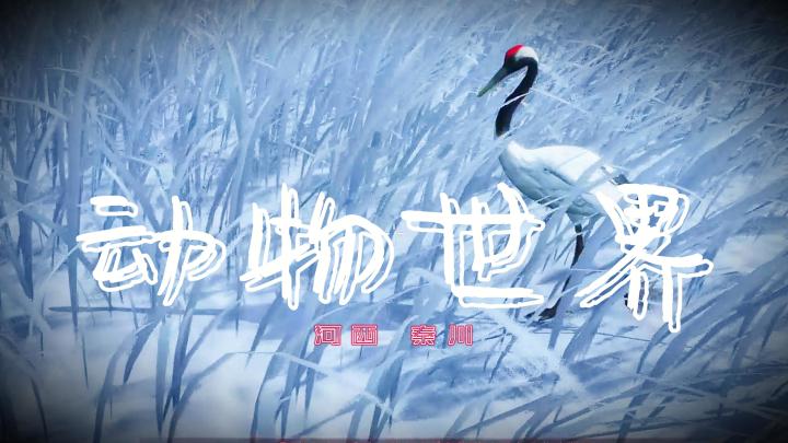【燕云】动物世界秦川版截图