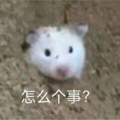 有没有什么可>4人的非FPS非MOBA类游戏啊截图