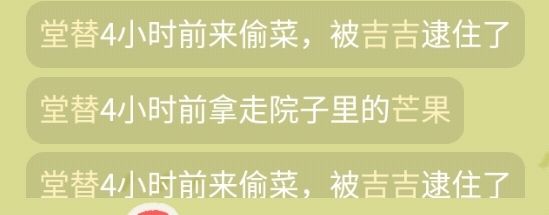 记仇的小本本 1