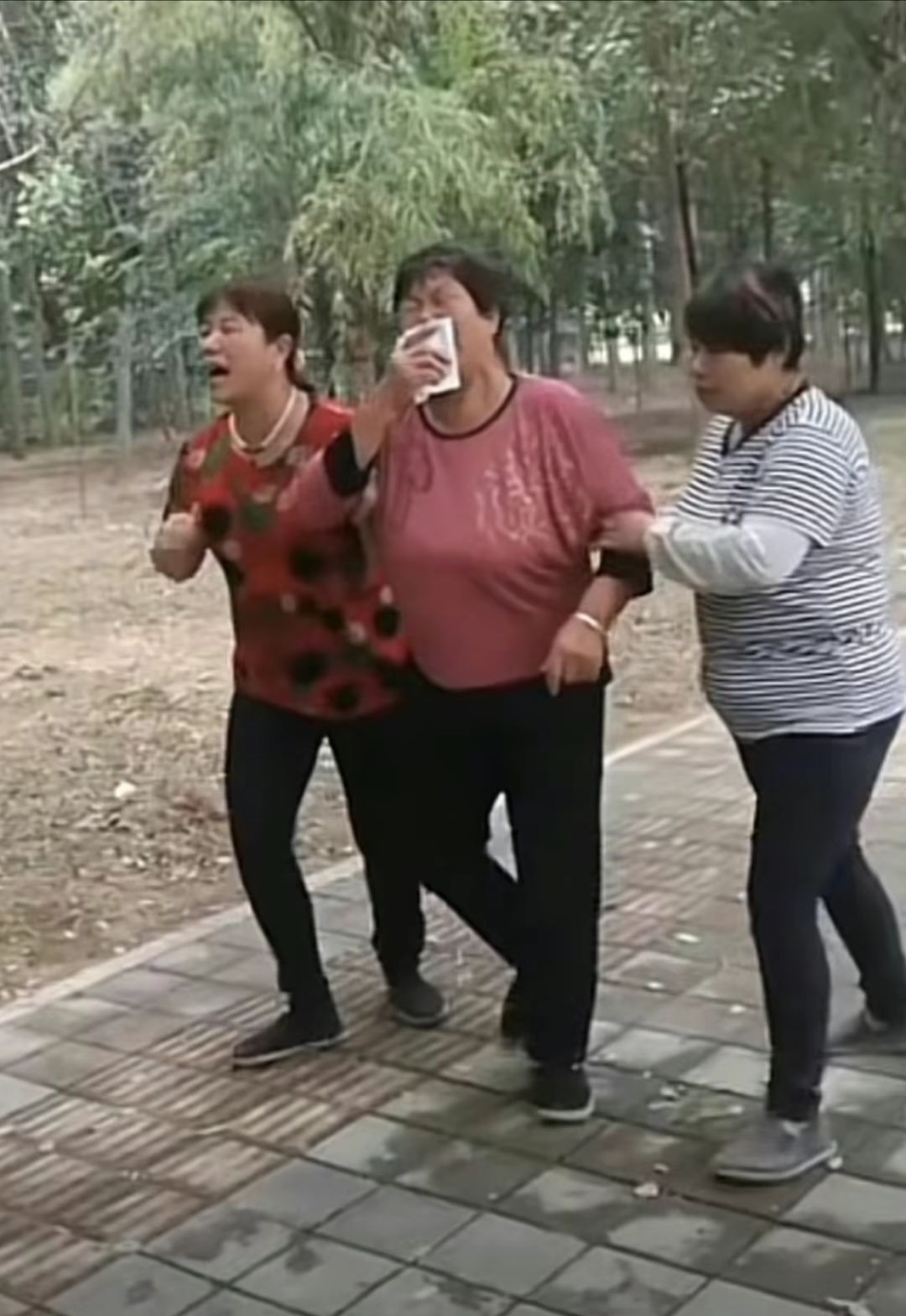 啊啊啊,额的风车手贱没锁一下全合了 3