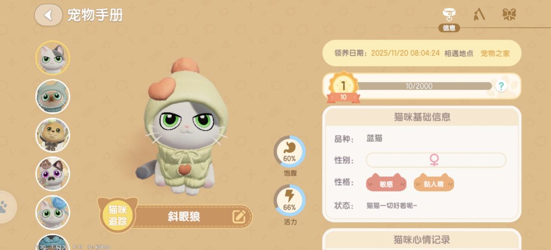 抽象小猫不容错过 2