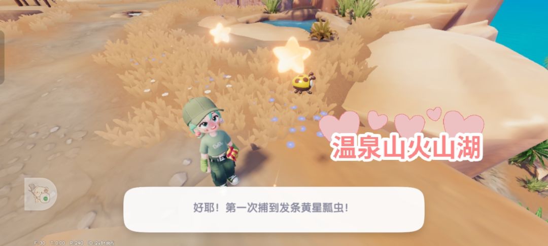 小镇稚趣园捕虫攻略 3