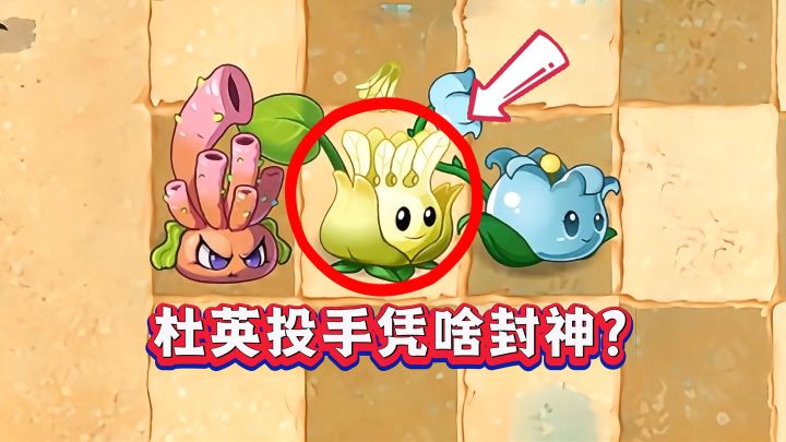 团购必冲!杜英投手凭啥封神?看完实力秒懂!截图