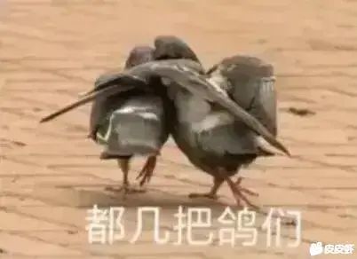 血刀轮回 3