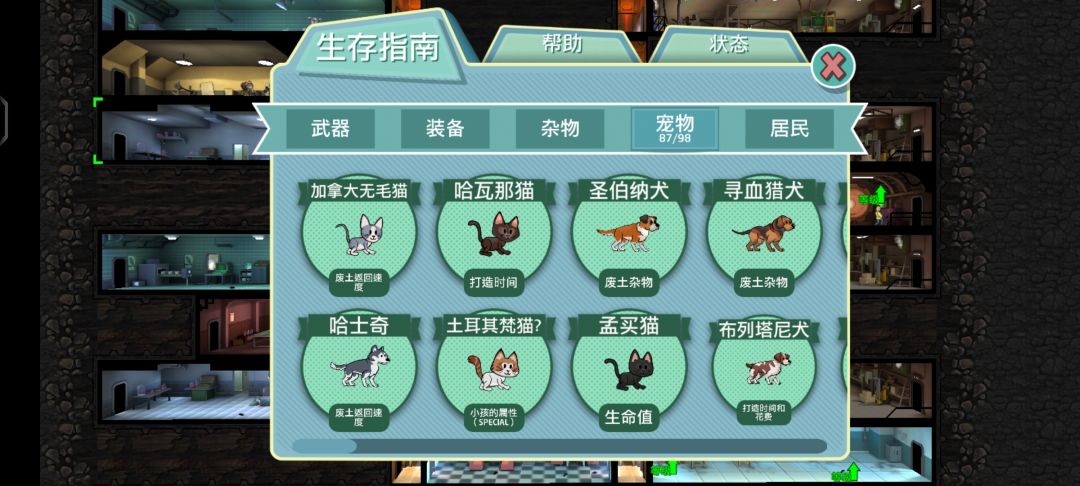 宠物普通款集齐 2