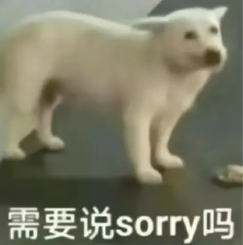 烈风毒牙魔杖,来自单主的订单 2