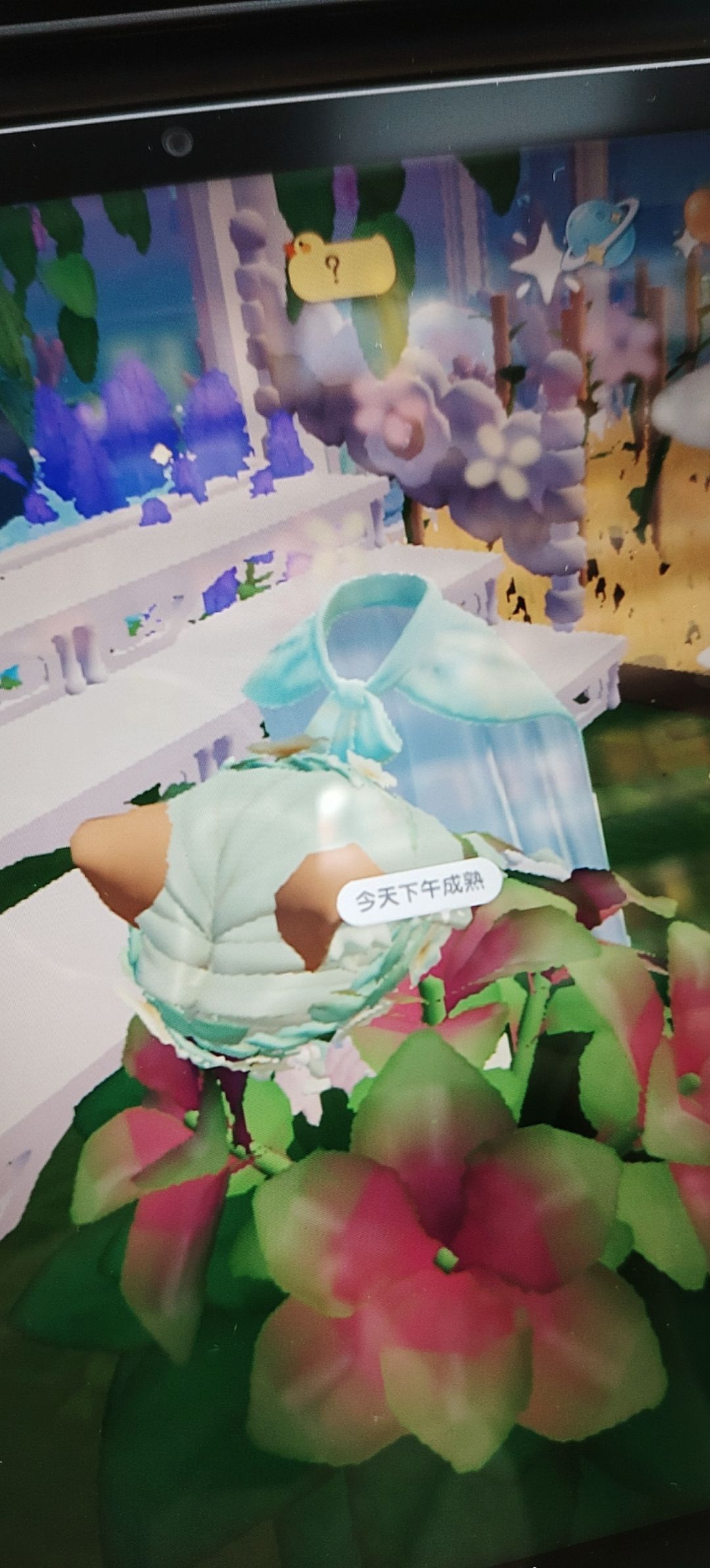 动态图片 2